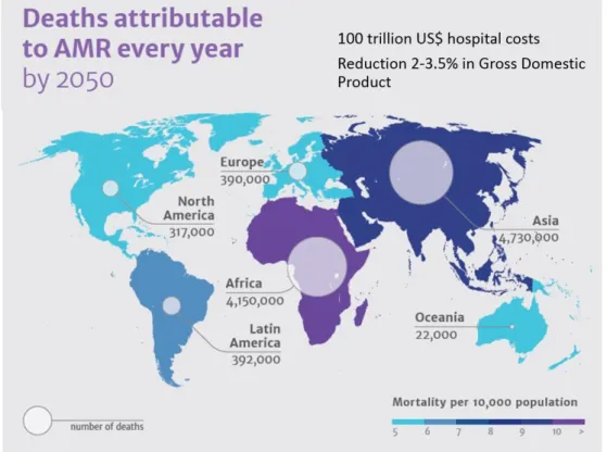 Fig. 3 – Deaths due AMR by 2050. Adapted from [16]. 