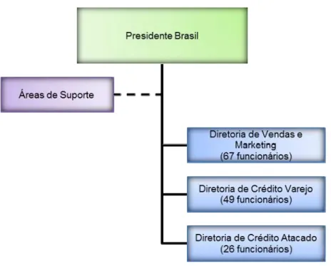 Figura 3: Organograma da empresa pesquisada: áreas do core business. 