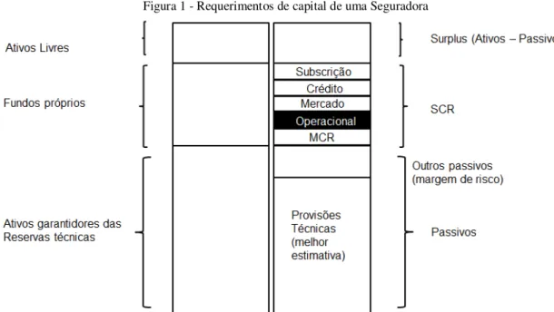 Figura 1 - Requerimentos de capital de uma Seguradora  