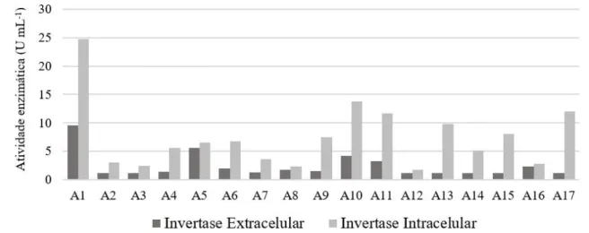 Figura 2 - Avaliação da enzima invertase extracelular e intracelular de isolados de leveduras selvagens presentes em caldo de cana.