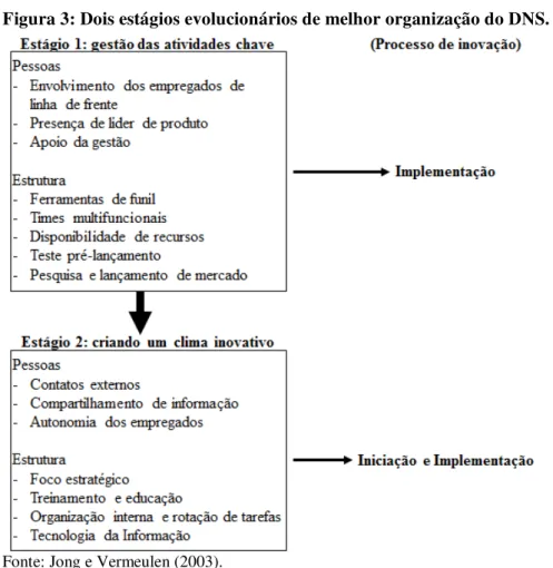 Figura 3: Dois estágios evolucionários de melhor organização do DNS. 
