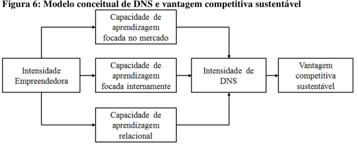Figura 6: Modelo conceitual de DNS e vantagem competitiva sustentável 