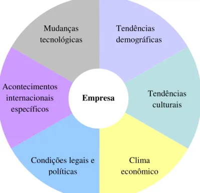 Figura 1: O ambiente geral enfrentado pelas empresas. 