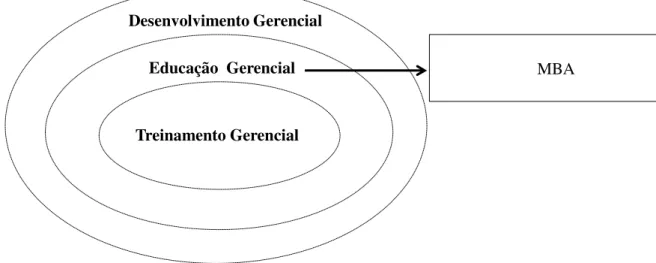 Figura 2 - Inter-relação entre os programas gerenciais. 