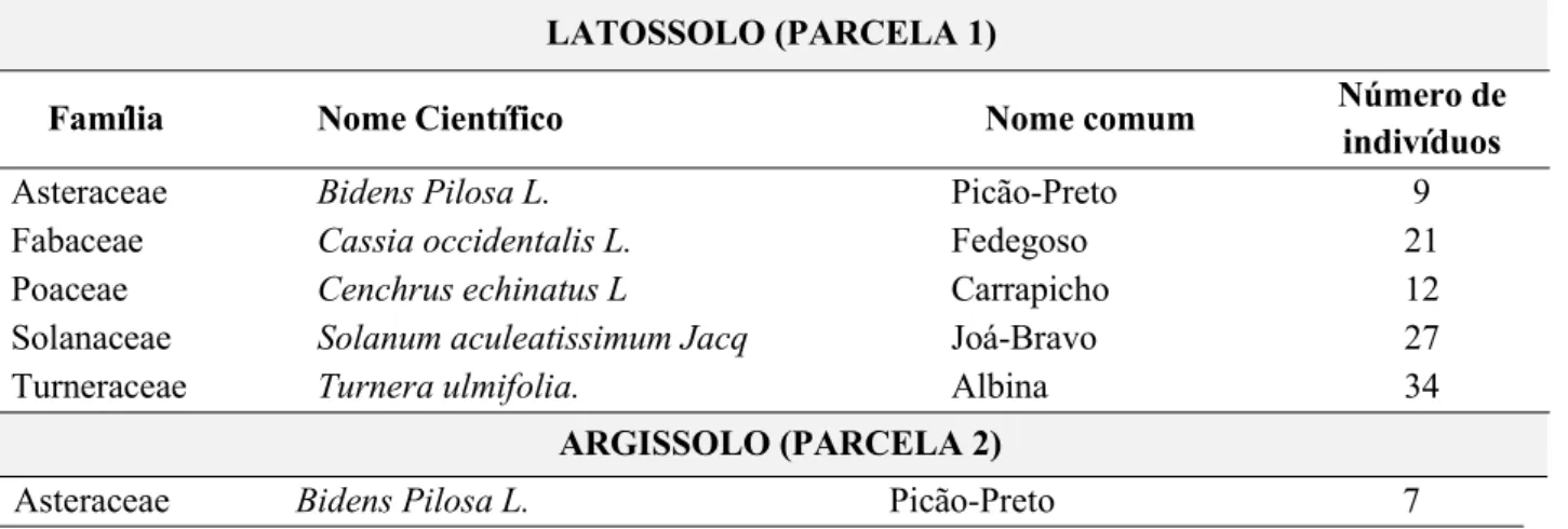Tabela 1 - Famílias e espécies de plantas encontradas nas áreas amostradas, solos classificados como latossolo (Parcela 1), argissolo (Parcela 2) e gleissolo (Parcela 3), na Fazenda Escola da Faculdade Evangélica de Goianésia  -GO, 2017.