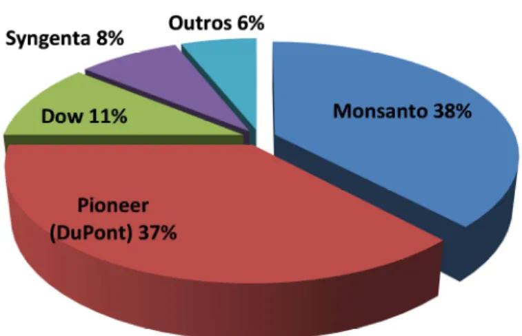 Figura 4 - Market Share de sementes brasileiro 
