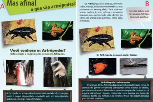 Figura 1: A) Página inicial introduzindo aos artrópodes; B) Modelo de formulação do conteúdo onde o  aluno por tentativa e erro – Fonte: Nascimento, 2015 