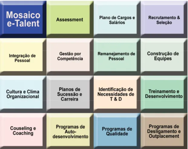 Figura 1 – Aplicações da Metodologia DISC – O Mosaico e-Talent 