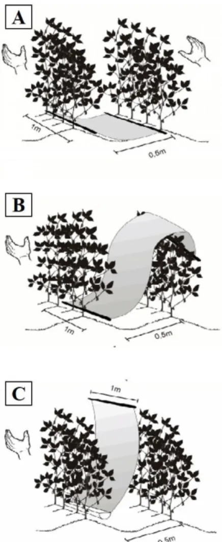 Figura 1. Representação do pano de batida (A), pano  de batida largo (B) e pano de batida vertical (V)  utilizados como método de amostragem de lagartas e 
