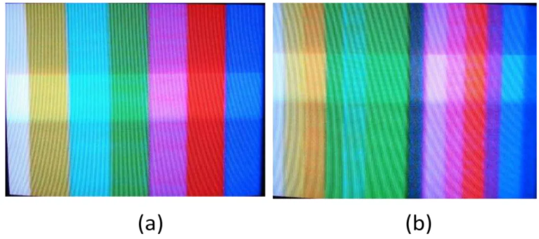Ilustração 6: Interferência causada pelo multipercurso na imagem analógica. Imagem sem interferência  em (a) e a imagem com a presença de “fantasmas” em (b)  