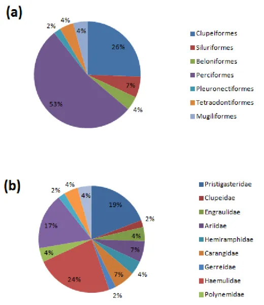Figura 3: Frequência relativa (%) das ordens (a) e famílias (b) das espécies de peixes capturadas na Praia de  Ponta Negra, Rio Grande do Norte, Brasil