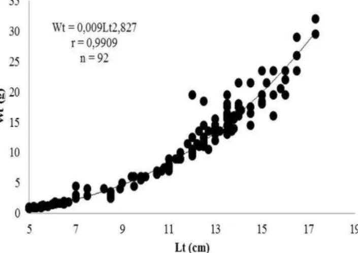Figura 2. Relação peso-comprimento de  P. gracilis , para  sexos  agrupados  distribuídos  em  pontos  empíricos individuais