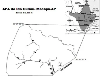 Figura  1.  APA  do  Rio  Curiaú,  Macapá-Amapá  e  pontos de amostragem. 