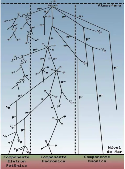 Figura 1: Representação esquemática do chuveiro de partículas quando um PCR penetra na atmosfera.