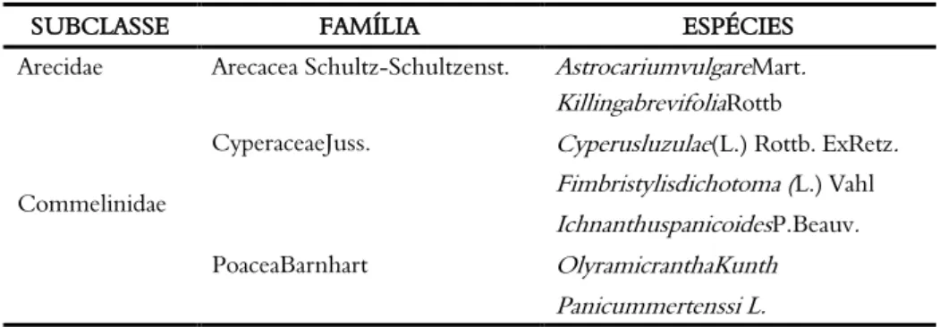 Tabela  02:  Tabela  plantas  Liliopsida  coletadas  no  sítio  arqueológico  do  Campus Marco Zero da UNIFAP