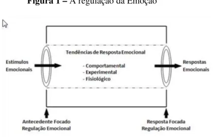Figura 1 – A regulação da Emoção 