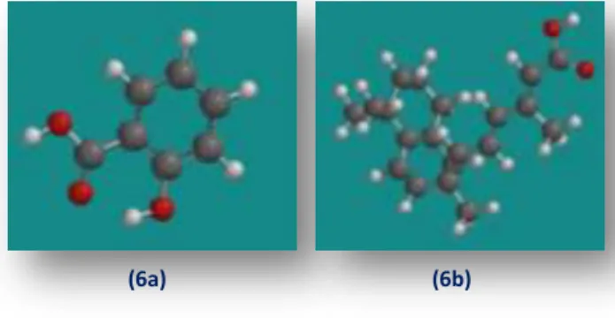 Figura  6.  Otimização  das  moléculas  no  Programa  Spartan  Stu- Stu-dent, (6a) ácido salicílico, (6b) ácido retinóico