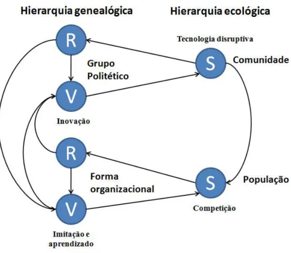 Figura 2  –  Micro e macrointerações evolucionárias. 