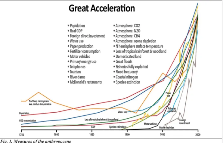 Fig. 1. Measures of the anthropocene  