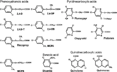 Figure 1. Chemical structures of the different groups of auxinic herbicides (Song, 2014)
