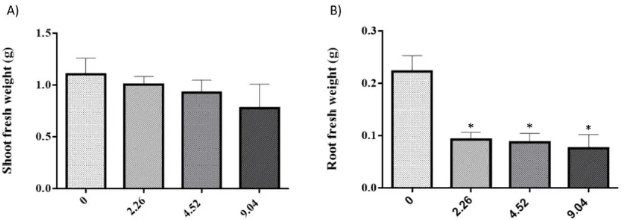 Figure 9. Shoot (A) and root (B) biomass of S. lycopersicum plants grown in nutrient medium supplemented with different  concentrations of 2,4-D