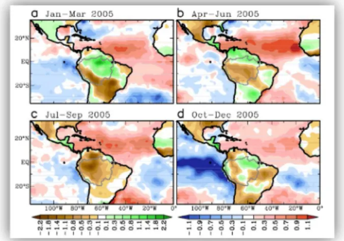 Figura 5:  Evolução  das anomalias de Tempera- Tempera-tura  da  Superfície  do  Mar  (º  C)  nos  Oceanos  Atlântico e Pacífico tropical e precipitação (mm)  na  Amazônia  entre  Janeiro  a  Dezembro  de  2005