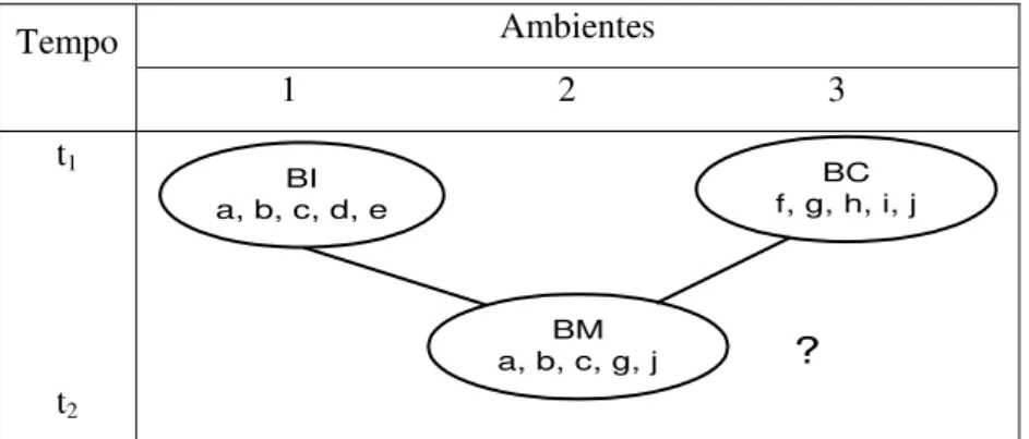 Figura 3  –  Exemplo da formação de um BM (forma organizacional híbrida)  Fonte: Elaboração da autora, baseado em Mckelvey (1982, p.257) 