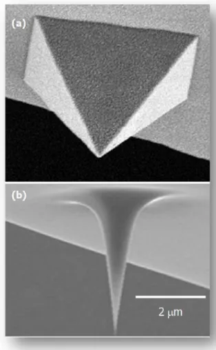 Figura 5: Imagens de dois tipos de pontas  feitas  com  um  Microscópio  Eletrônico  de  Varredura