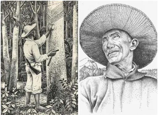 Figura 8: A - Seringueiro; B - Vaqueiro do Marajó Fonte: IBGE (1963)