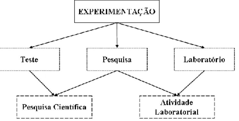 Figura 3 – Relação entre os significados dos termos do NC da RS para “experimentação” dos  graduandos do curso de Química A.