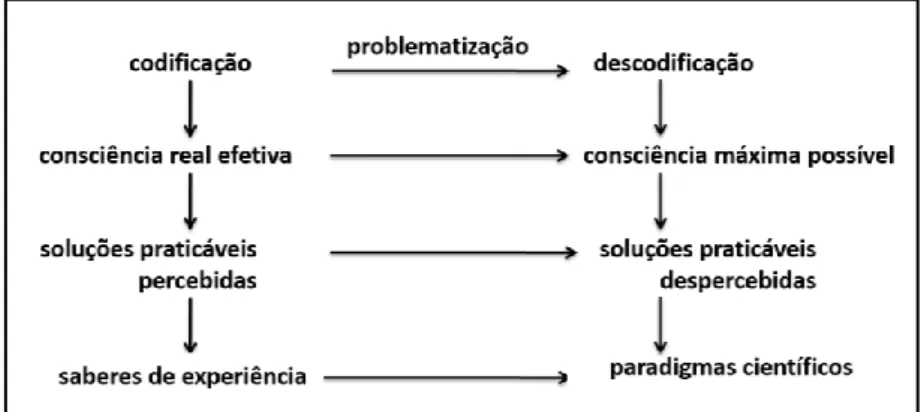 Figura 3 - Processo de codificação-problematização-descodificação, adaptado de Delizoicov (1991)