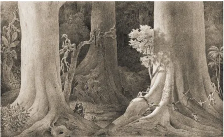 Figura 3. IX. As árvores que nasceram antes de Cristo na floresta às margens do rio Amazonas