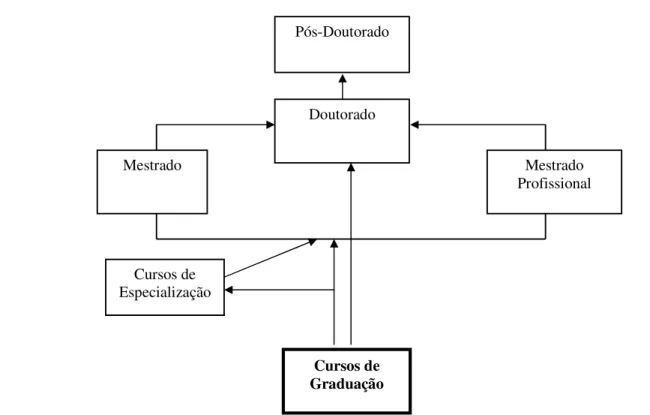 Figura 1 - Estrutura do Sistema Educativo Superior Brasileiro  Fonte: Adaptado pela autora com base em Neves (2002) 