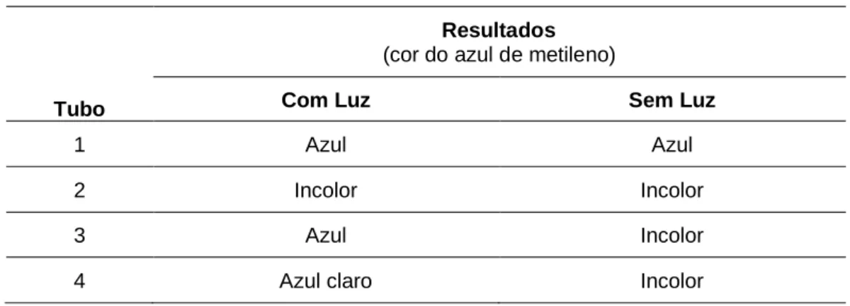 Tabela 2 – Possíveis resultados da Atividade B. 