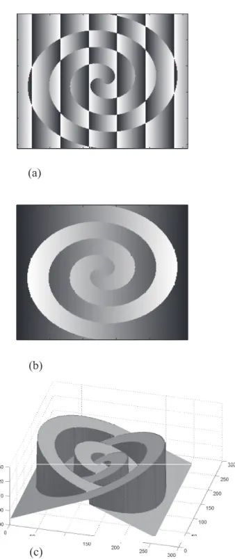 Figure 1.3: Extremely hard phase unwrapping problem. (a) Wrapped phase image. (b) Unwrapped image