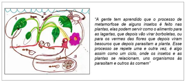 Figura 6. Desenho com representação compreensiva e explicação de E13, do 2 º  ano representando  seus saberes sobre as relações ecológicas dos insetos com as plantas