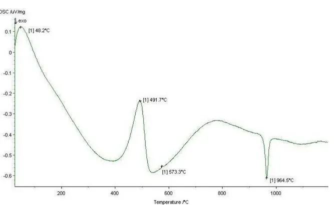 Gráfico 08 – TG (Análise Termogravimétrica) 