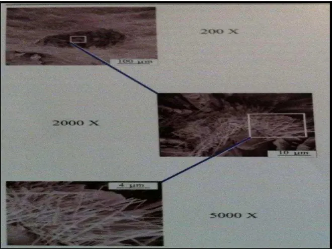 Figura 2  –  Três micrografias da fase pasta de cimento hidratada com ampliações diferentes