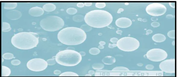 Figura 06. Microesferas Ocas de Vidro (Glass Bubbles® tipo K-37); micrografia  eletrônica de varredura (aumento de 100 vezes)