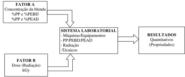 Ilustração 16 - Representação simplificada do método de análise dos dados. 