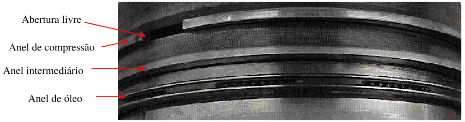 Figura 17  –  Os anéis de pistão de um motor ciclo diesel. 