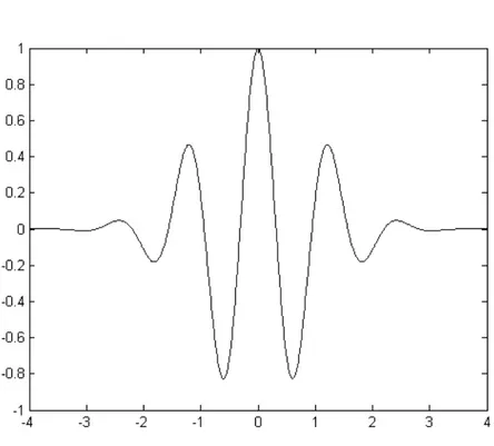 Figura 20 - Wavelet de Morlet. 