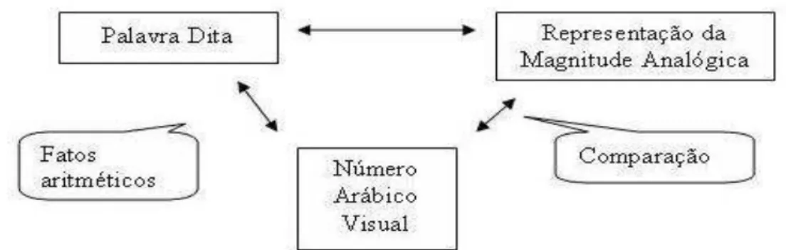 Figura 8- Figura simplificada do Modelo do Triplo Código de  processamento numérico – Adaptação do modelo de Dehaene  (1995) 