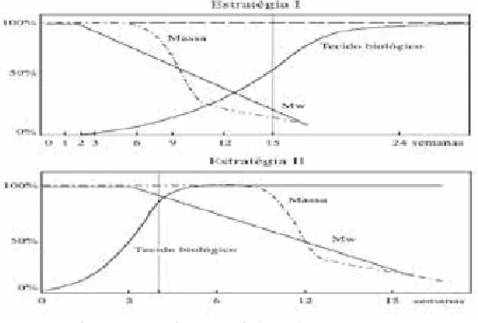 Figura 3 - Estrutura Bidimensional (2D) polimérica utilizada  como scaffold em estruturadas de bioengenharia de tecido