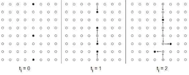 Figura 19: Dinâmica de descontaminação esperada devido a aplicação da regra da Tabela 11