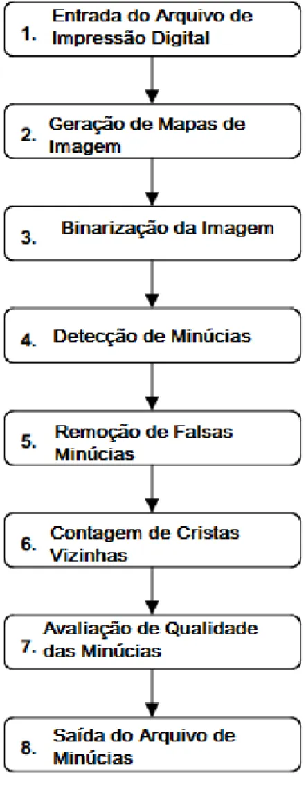 Figura 4  – Processo de detecção de minúcias do algoritmo MINDTCT 