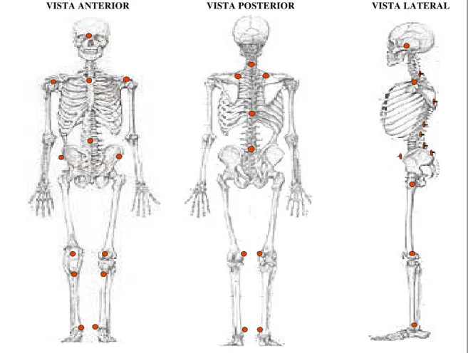 Figura 3: Ilustração do posicionamento dos marcadores de superfície sobre as referências ósseas, em cada vista