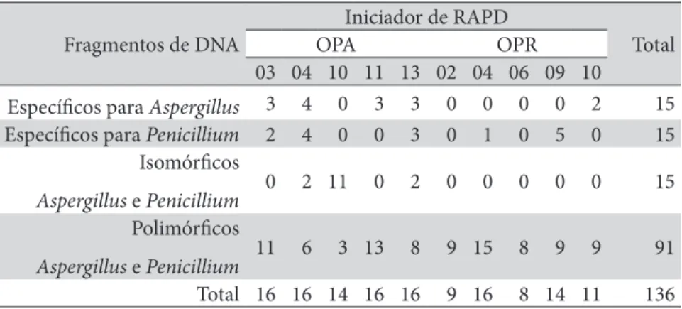 Tabela 3: Tipos de fragmentos gerados por 10 iniciadores de RAPD utilizados na  identificação molecular e análise filogenética de Aspergillus e Penicillium
