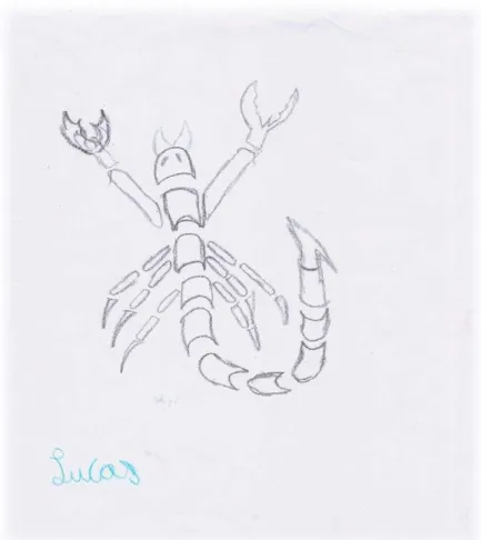 Figura 9: Desenho de um escorpião (2013)                                                    Autoria: Lucas (10 anos) 