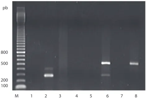 Figura 2 – Análise do conteúdo gênico das estirpes estudadas por PCR. M – marcador de  peso molecular (100 bp DNA Ladder – Amersham), (amostras de 1 a 4 – amplificação para  o gene  cry1): 1 – Controle negativo, 2 – Btk, 3 – S2183, 4 – S2186, (amostras de 